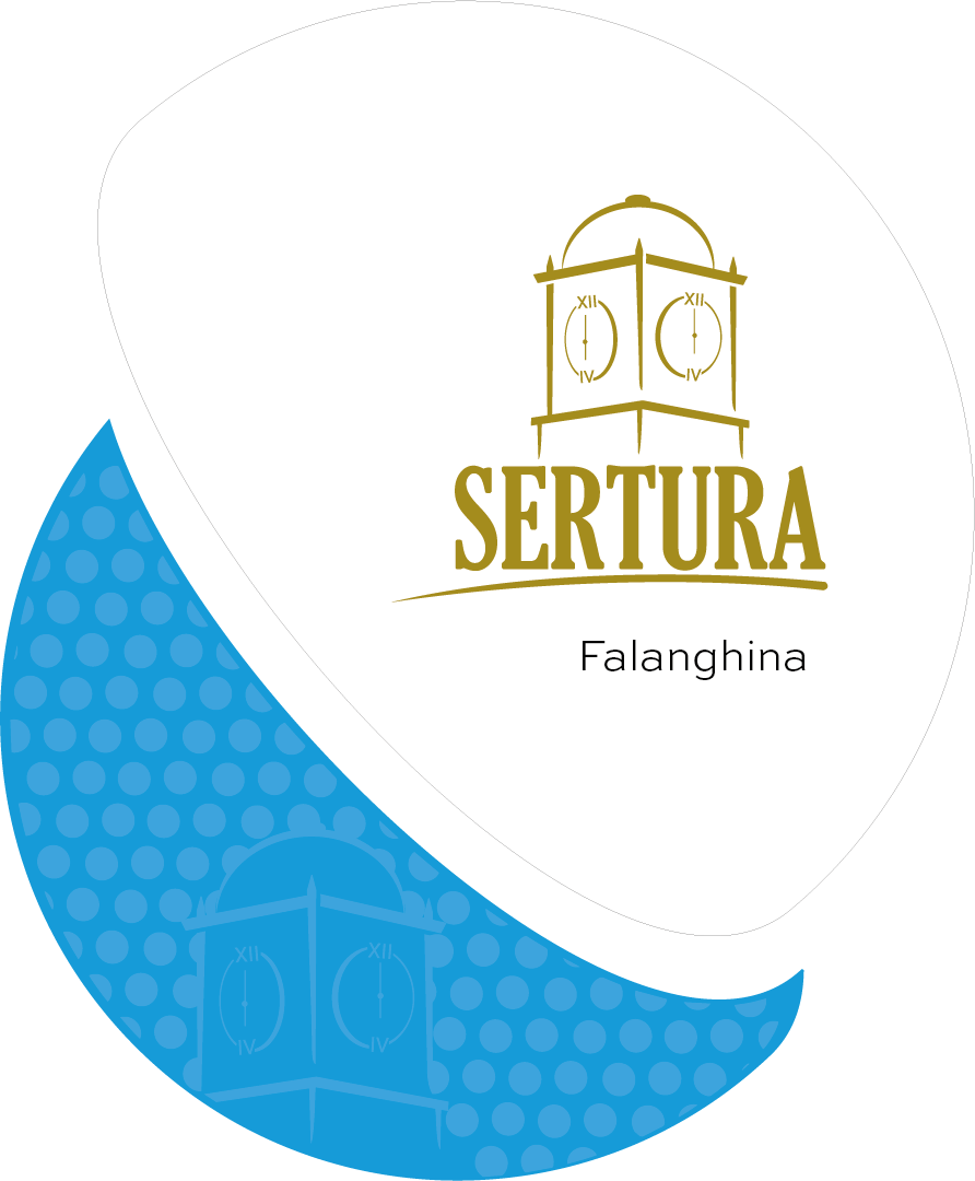 Progetto 09